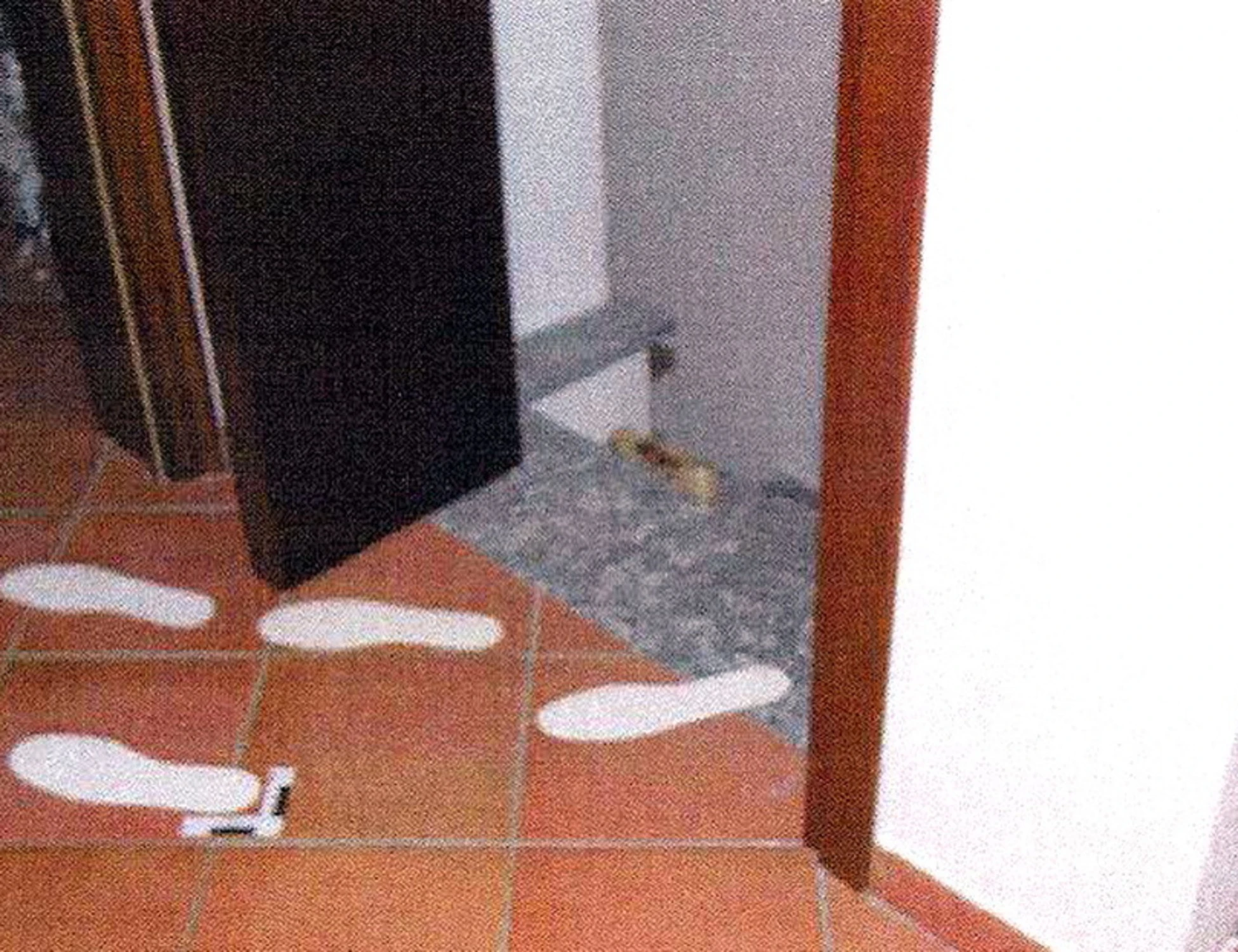 Garlasco, l'errore: cercavano solo liquido seminale