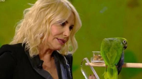 Portobello, Antonella Clerici e un risultato sconcertante: ascolti, quello che la Rai non può tollerare
