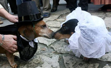 Cappelli, divise e abiti da sposa