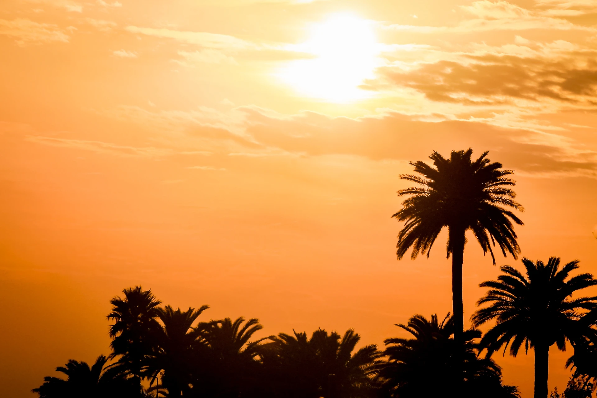Meteo, l'anticiclone subtropicale porta il grande caldo ad ottobre: le temperature con pochi precedenti