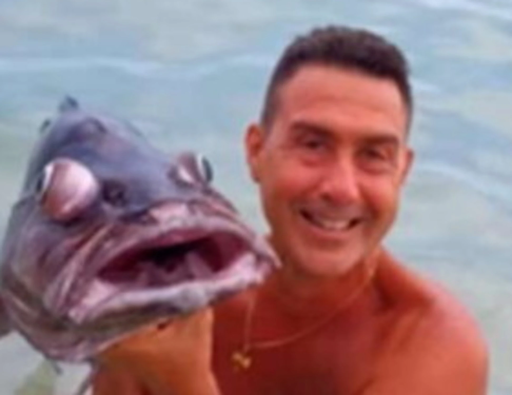 Il generale Vannacci denunciato, demolisce sinistra e ambientalisti: "Sapete che ho fatto?"