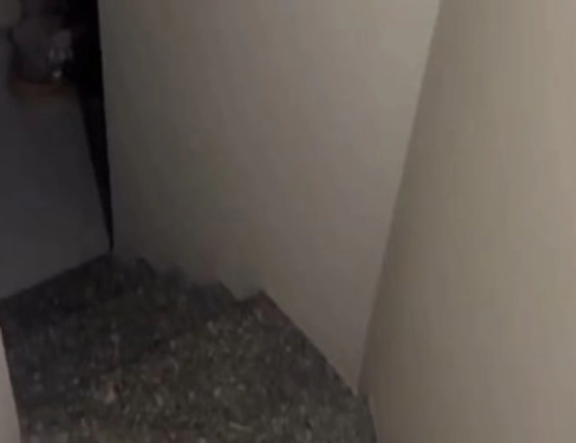 Garlasco, bomba del Tg1: nuova impronta di scarpa in cima alle scale