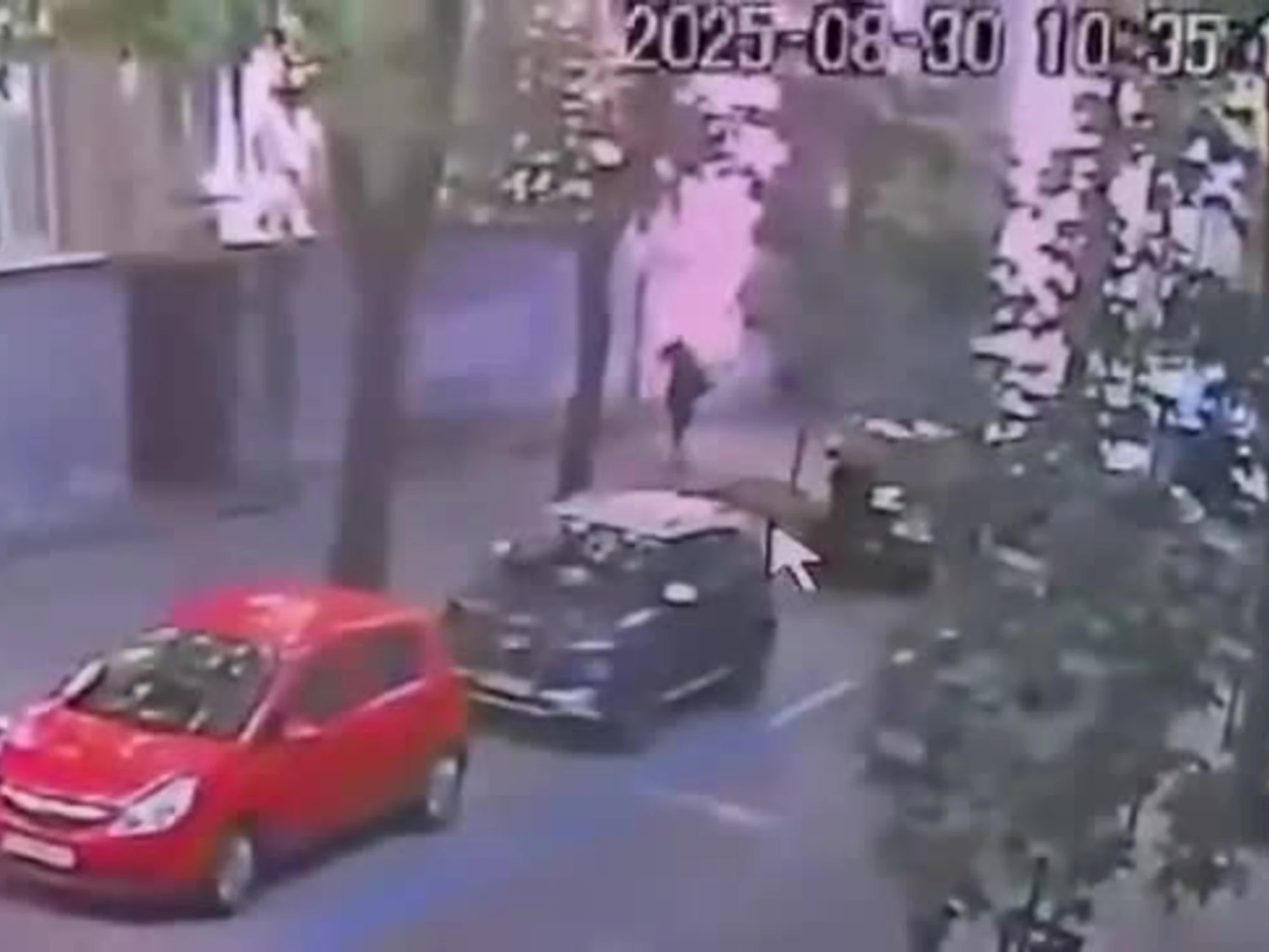 Il video dell'omicidio di Parubiy: immagini forti