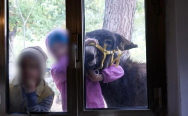 Famiglia nel bosco, la clamorosa frase sugli "altri bimbi" della figlia di 8 anni