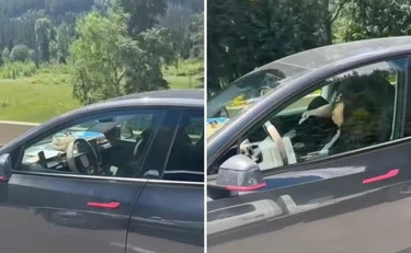 La mamma dorme e l'auto va a 100km/h con le bimbe dietro: la foto-choc fa il giro del mondo