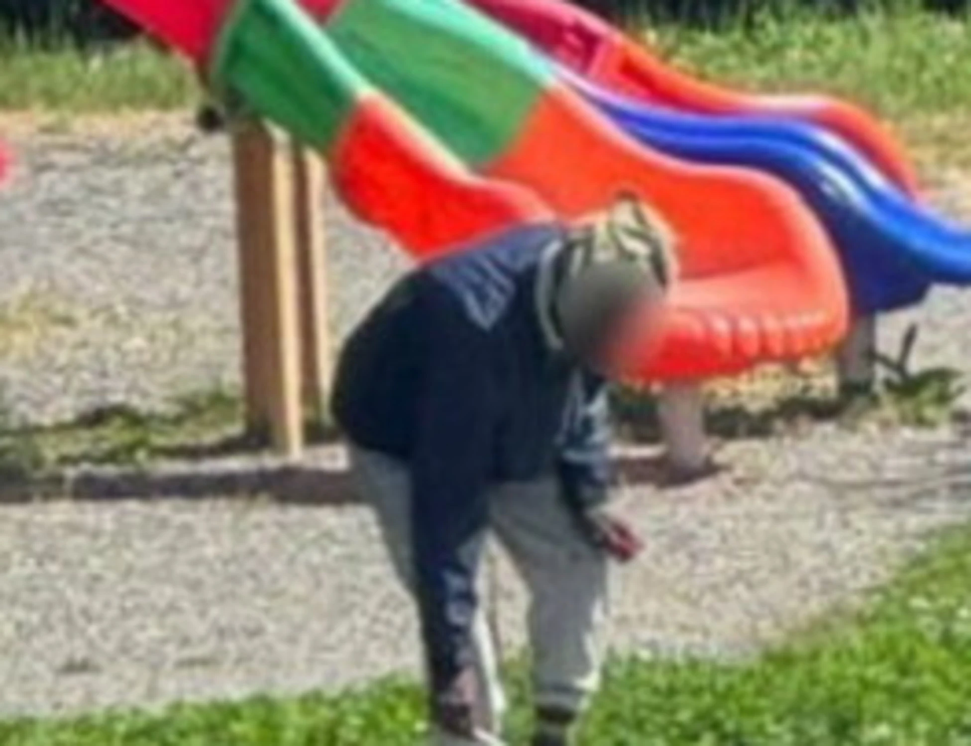 Sarzana, il nigeriano uccide il gatto al parco e lo arrostisce: come può finire