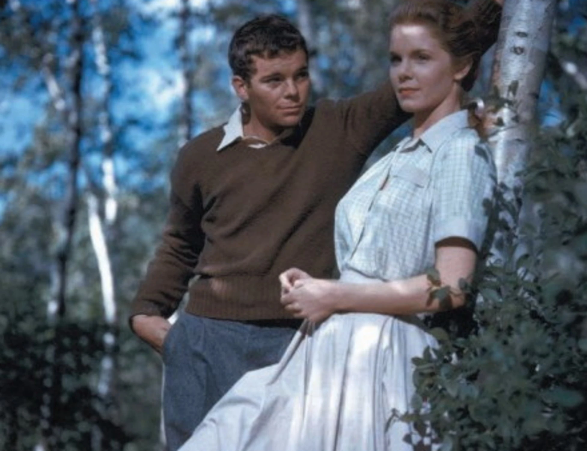 Lo scandaloso romanzo che ha svelato il lato oscuro della provincia americana