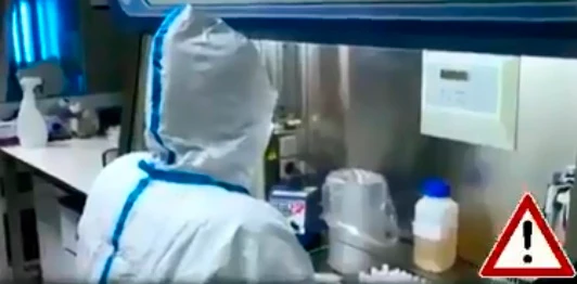 Coronavirus, Matteo Salvini e l'allarme-contagio dall'Africa: il video che spaventa l'Italia