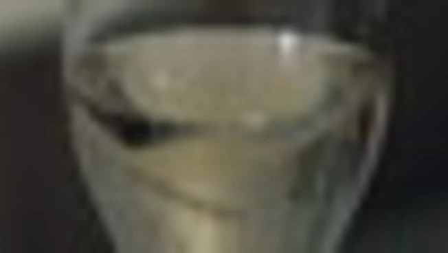 Dazi e bollicine, lo champagne nel mirino di Trump