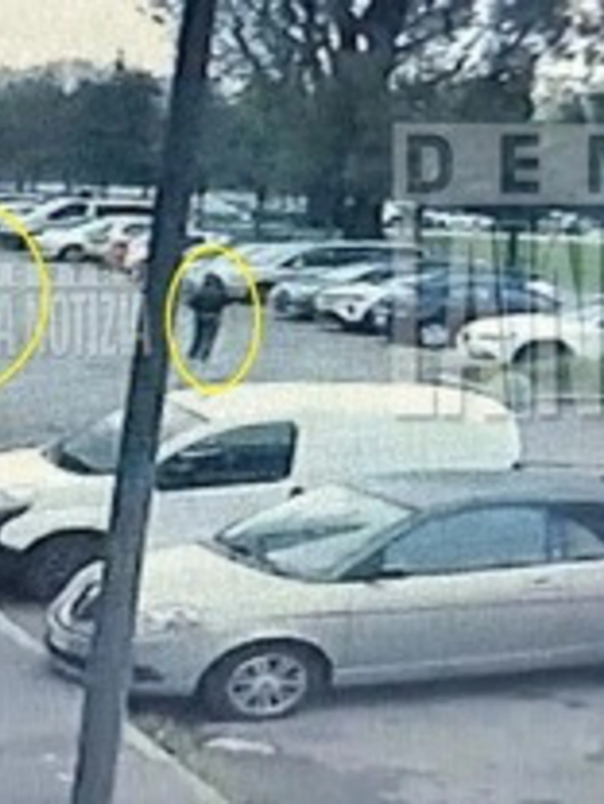 Milano, ammazzata a coltellate in faccia: il video-choc, immagini forti