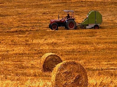 Per aiutare il clima più 'bio' meno Co2, l'agricoltura green verso Kyoto