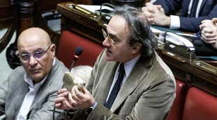 Angelo Bonelli