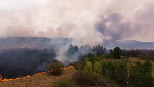 Caldo e siccità minacciano i boschi europei