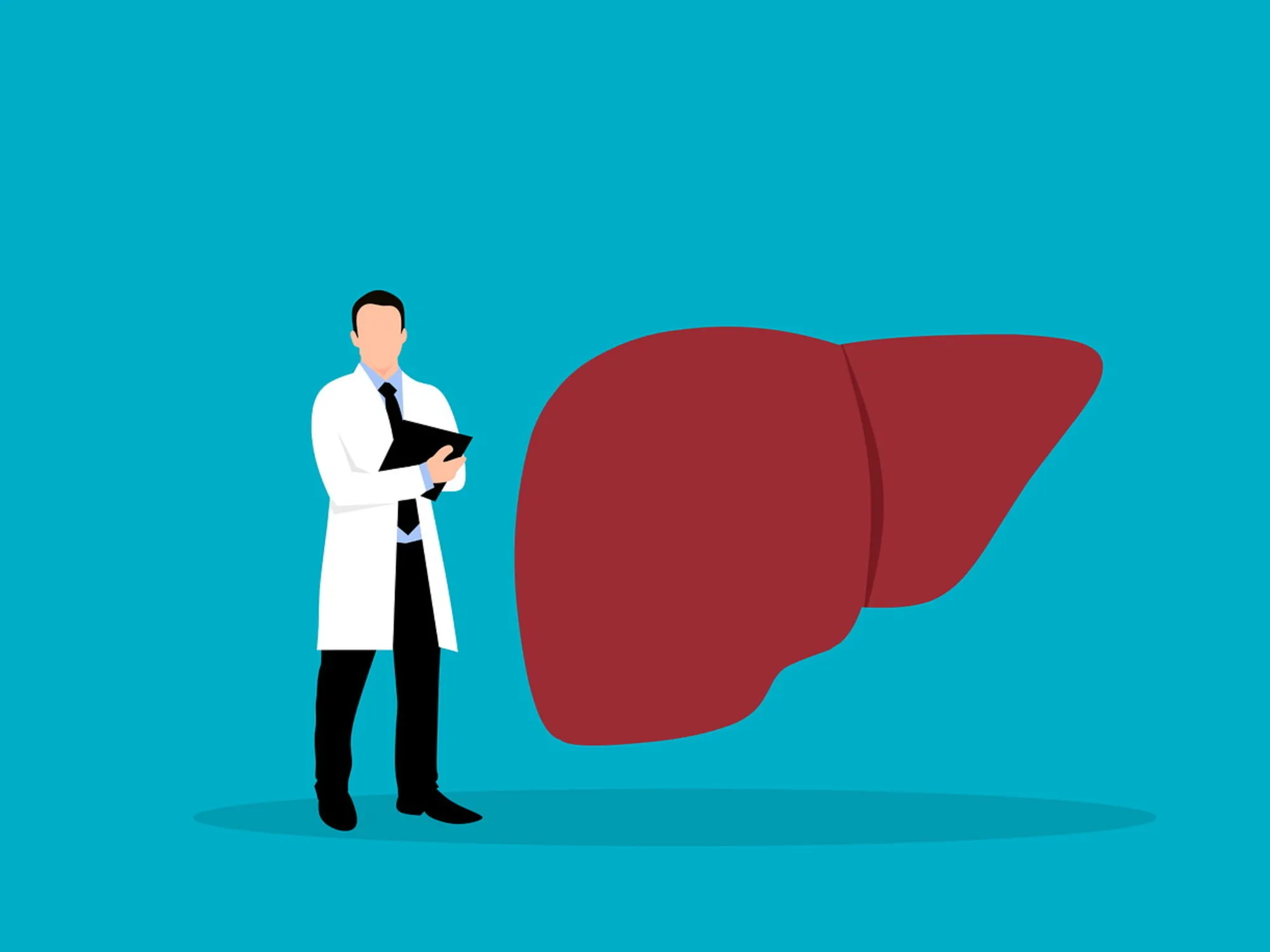 Fegato, i 3 cibi che lo proteggono: il segreto della longevità