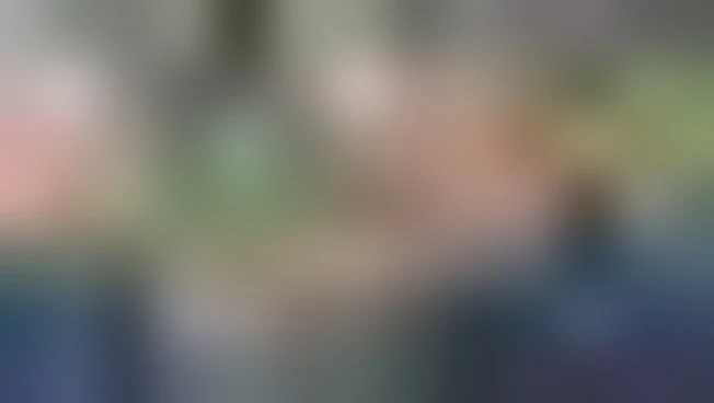 Fini ad Atreju per sentire Abu Mazen: "Unica alternativa ad Hamas"