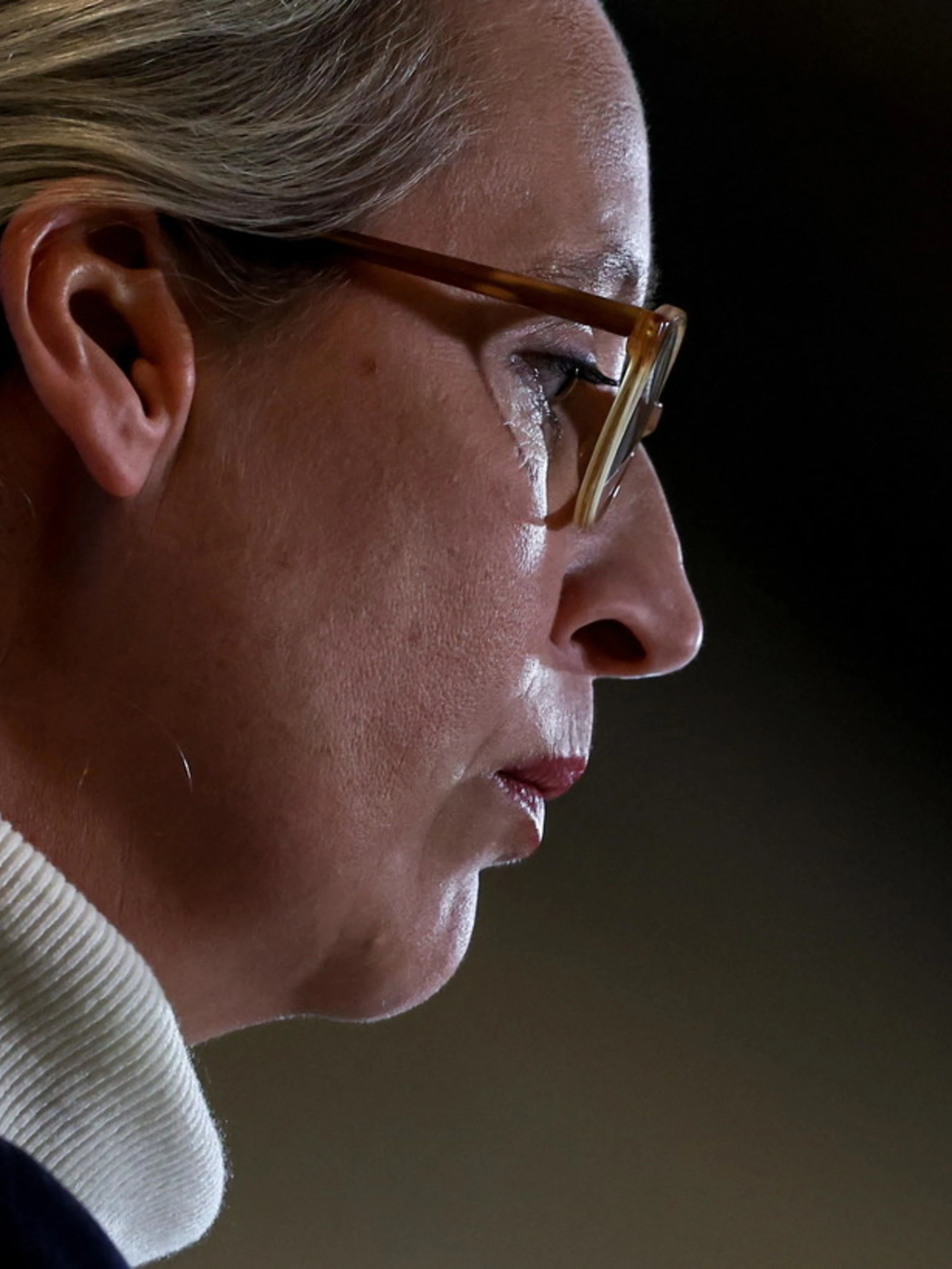 Weidel, "colpo mortale all'Euro": la Germania approva gli investimenti per la difesa, scoppia la polemica