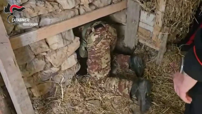 Piantagione marijuana in bunker sotterraneo nella Locride