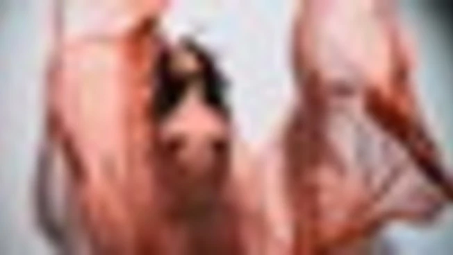 Pirelli svela The Cal 2026: natura e tecnologia catturano emozioni