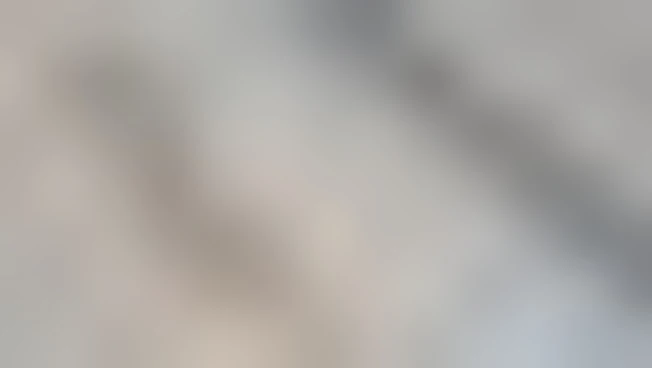 Slow Fiber, la rivoluzione etica del tessile parte da Torino