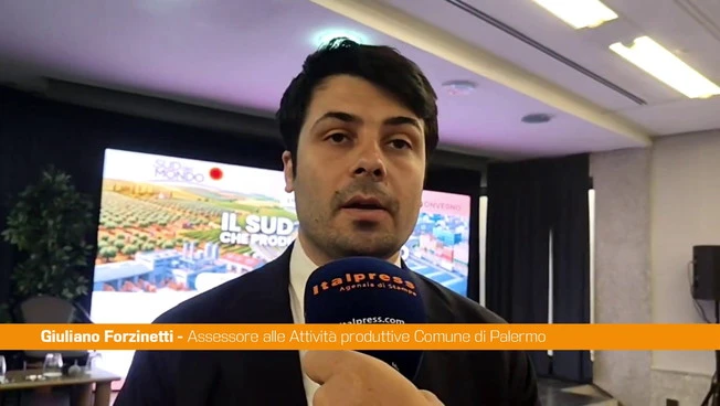 Energia, Forzinetti "Tema fondamentale per l'ambiente e la politica industriale"