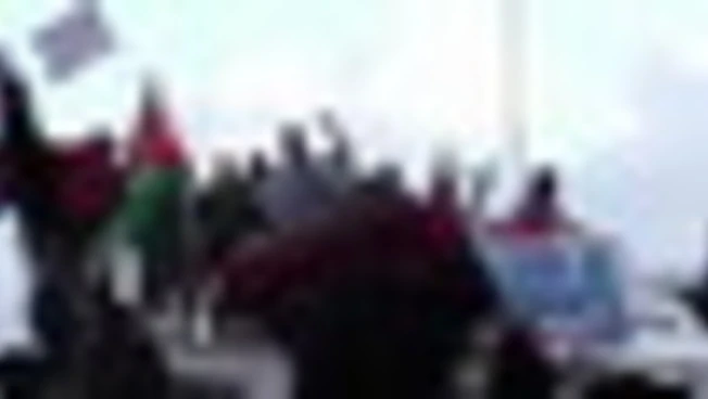 Cubani e attivisti festeggiano l'arrivo della Flotilla a L'Avana