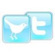 LinkedIn si allea con twitter
