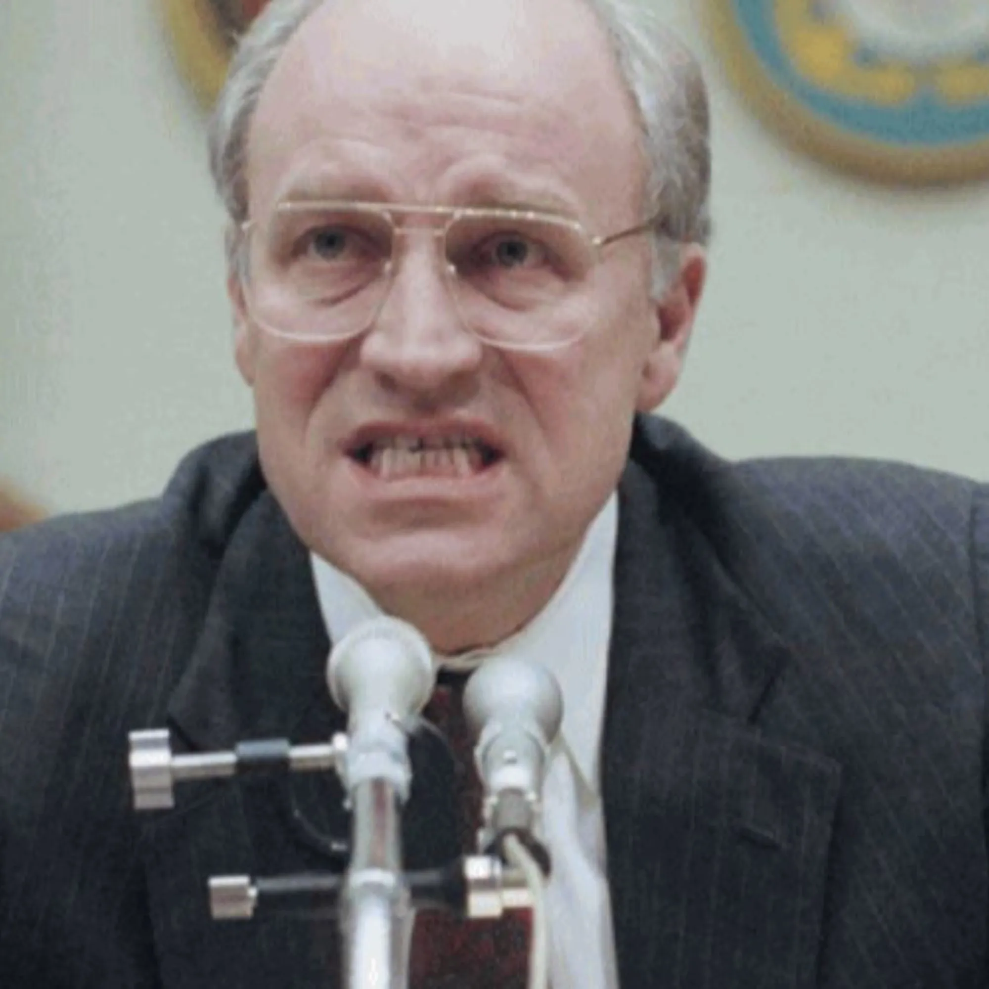 Il super vicepresidente che sconfisse Al Qaeda