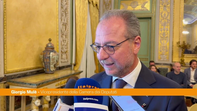 Referendum, Mulè "Votare Sì è una scelta di civiltà"