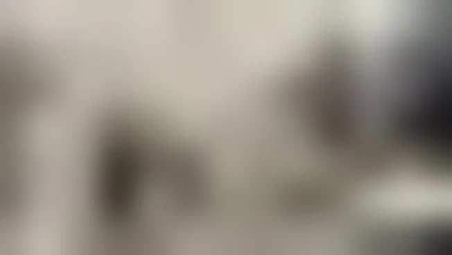 A Palazzo Citterio William Kentridge in Sala Stirling