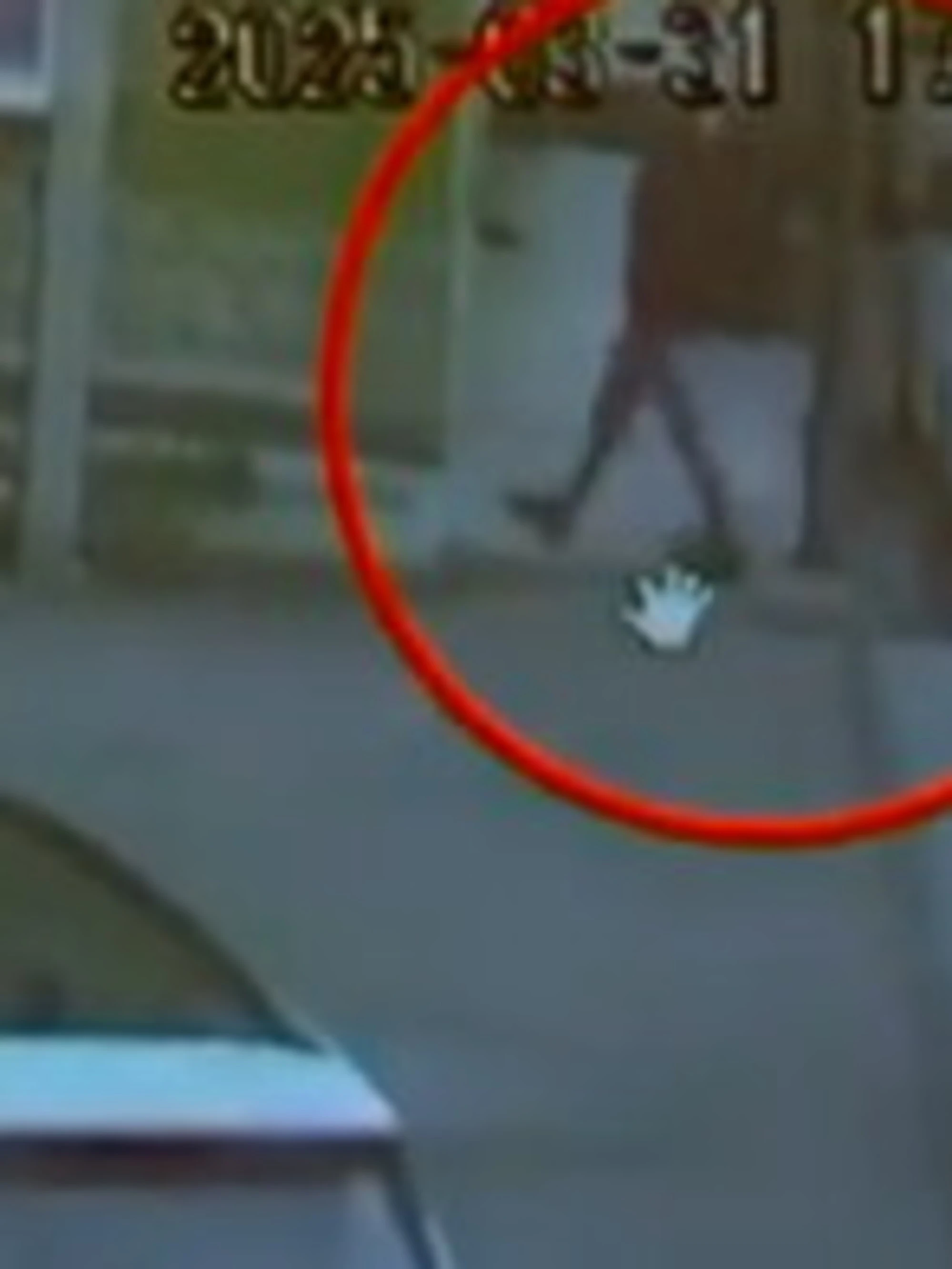 Sara Campanella, la telecamera del benzinaio riprende tutto: il video-choc della sua morte