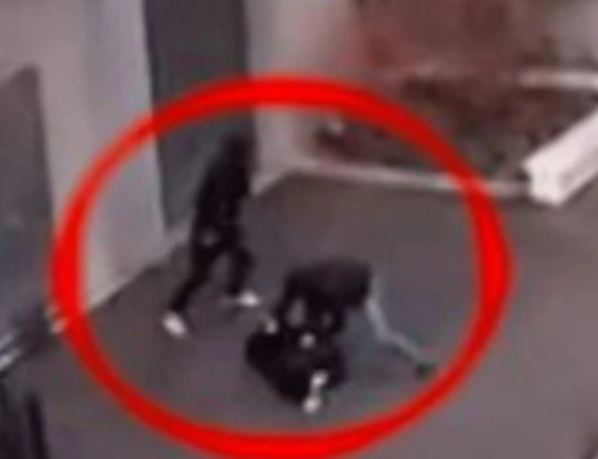 Francia, la sinistra sotto accusa prova a coprire le violenze