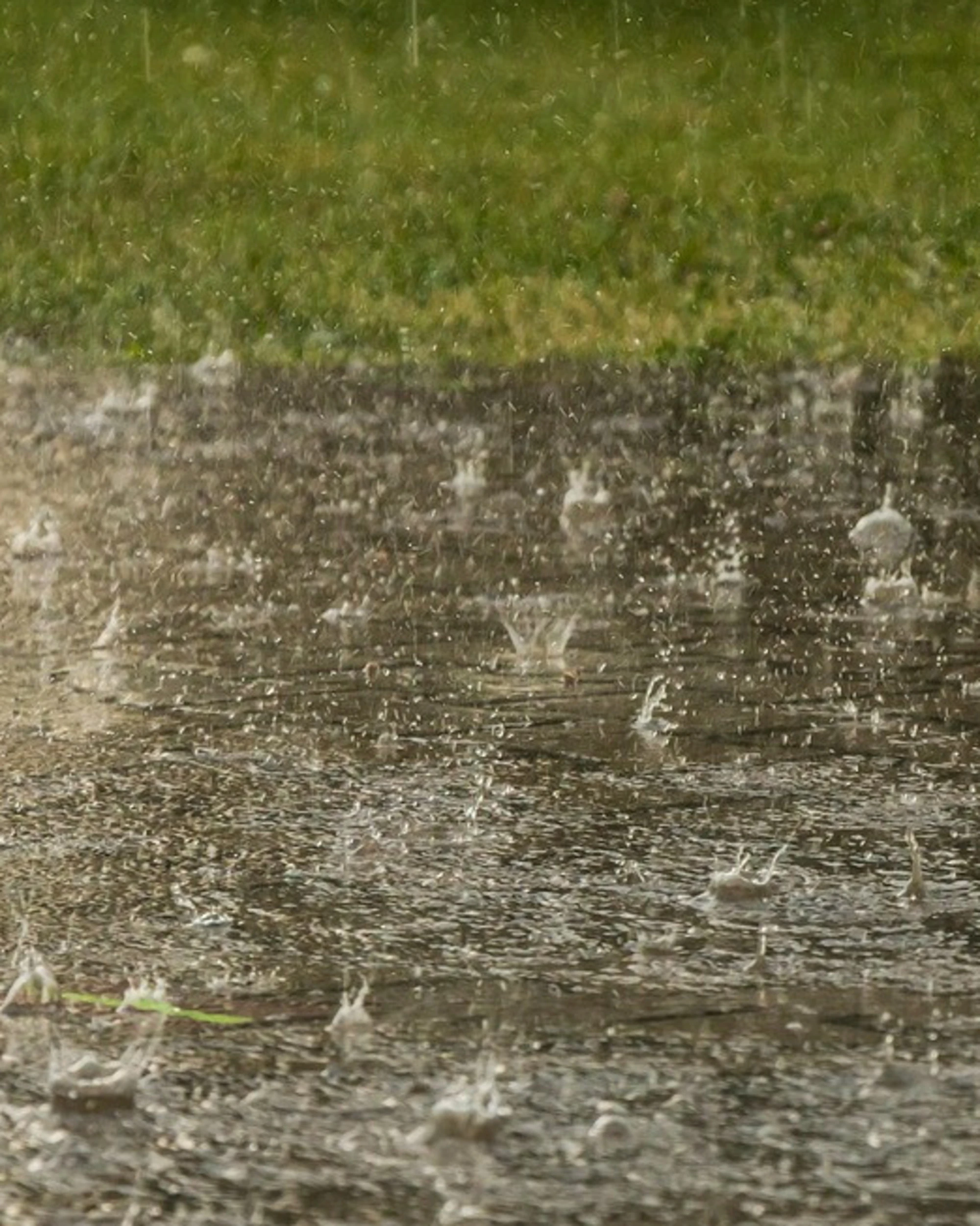 Meteo Giuliacci, grandine e nubifragi: un weekend da incubo