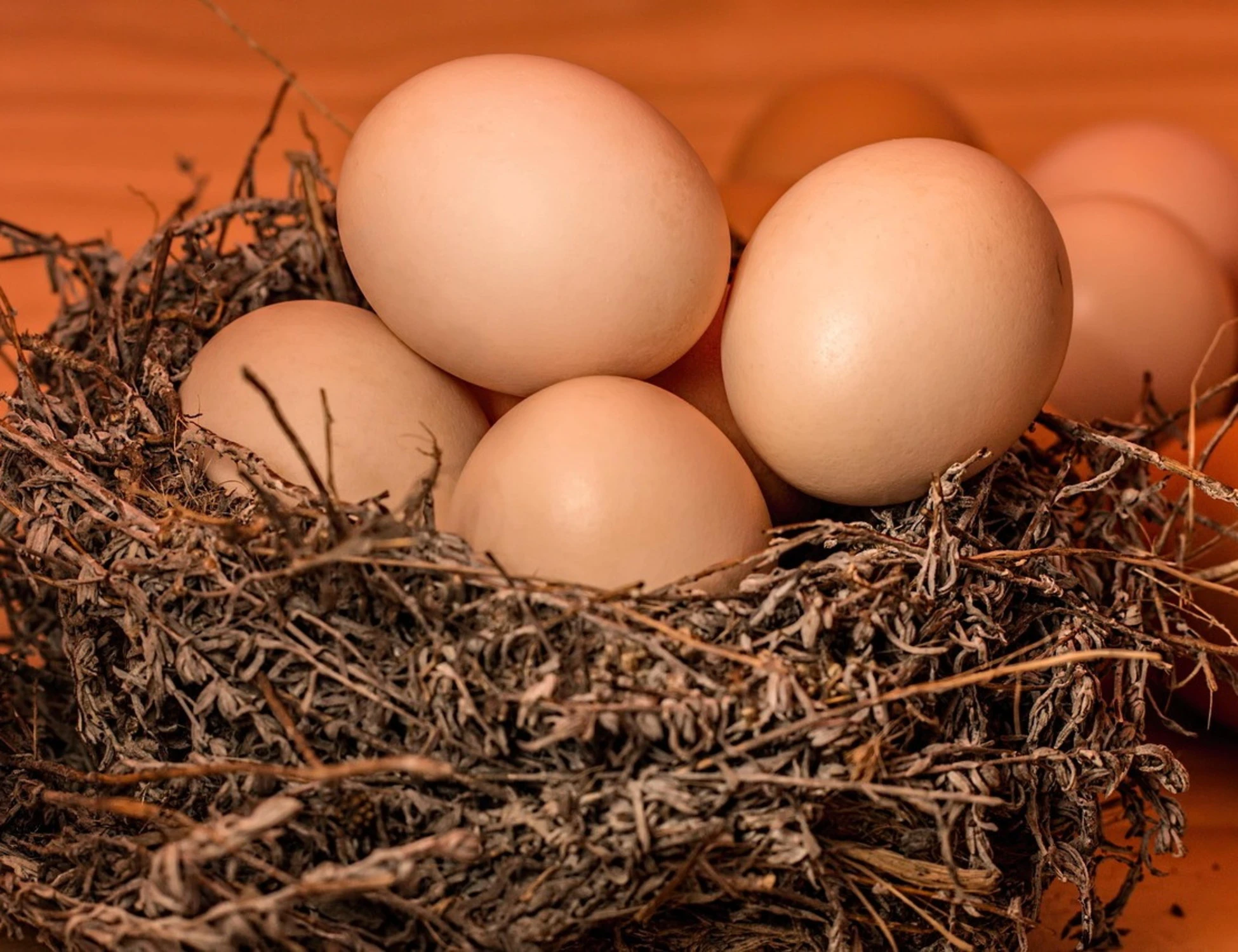 Uova, non devi mai lavarle: contaminazioni, cosa rischi