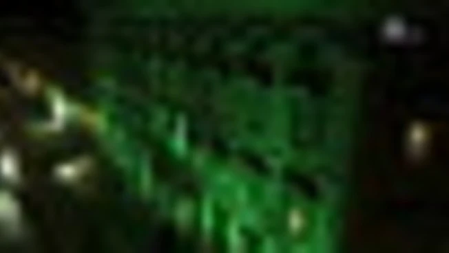 XIX Giornata SLA: la facciata di Palazzo Madama si illumina di verde