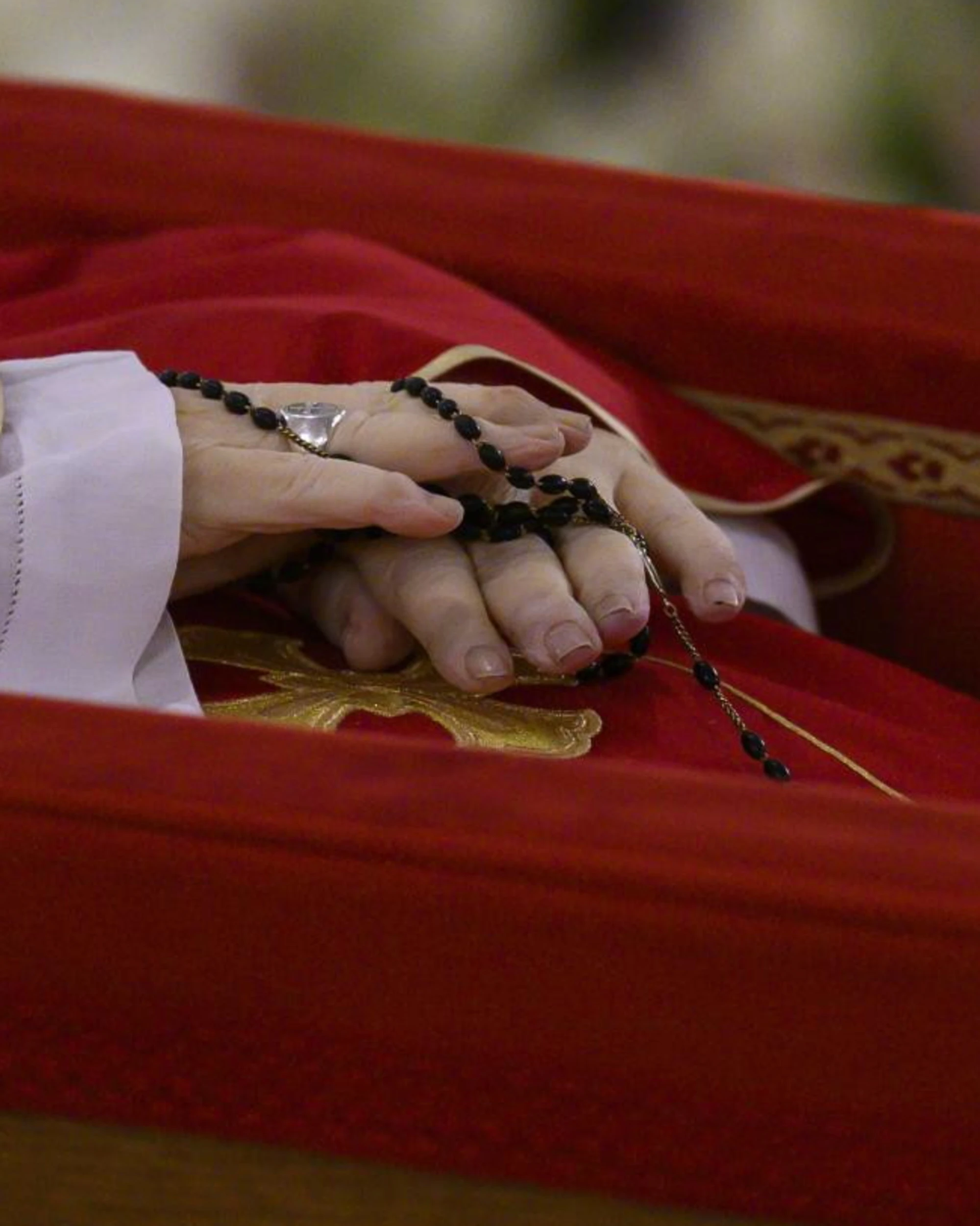Papa Francesco, la salma esposta: la foto 
