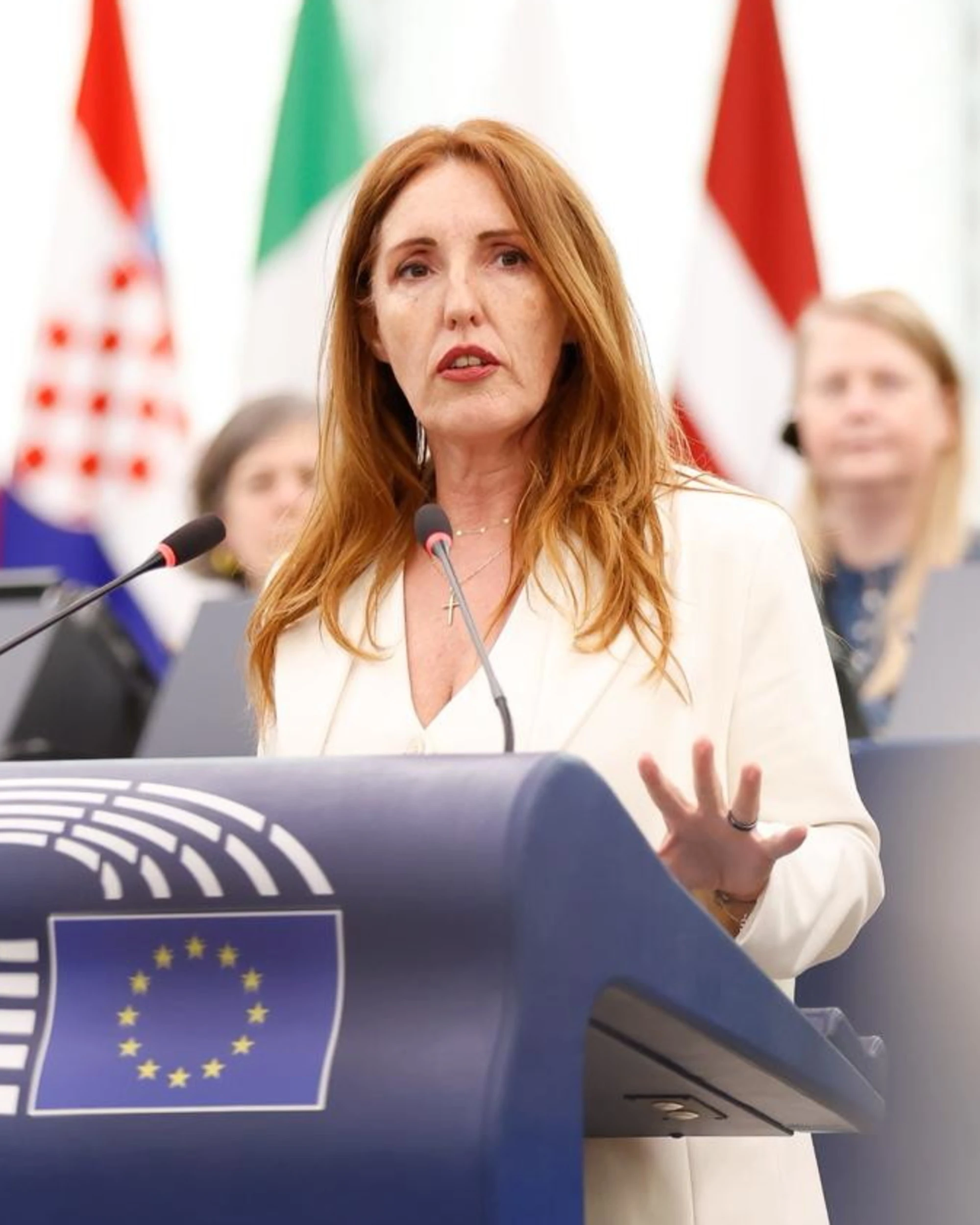 Ilaria Salis, la bordata di Elena Donazzan: "Prima piagnucola, poi insulta"