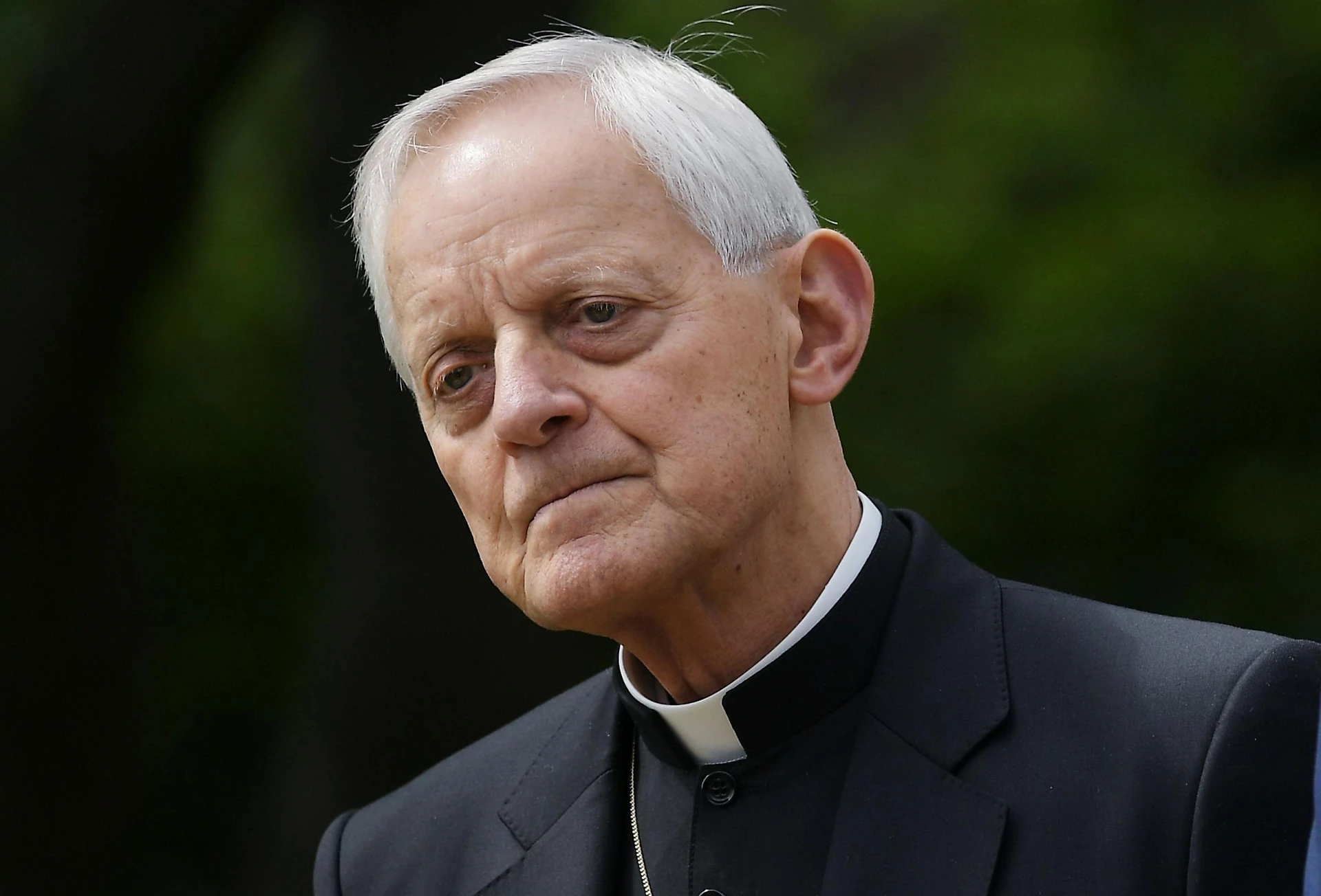 Vaticano, si dimette anche Donald Wuerl: consegna le dimissioni a Papa Francesco, "scisma" negli Usa