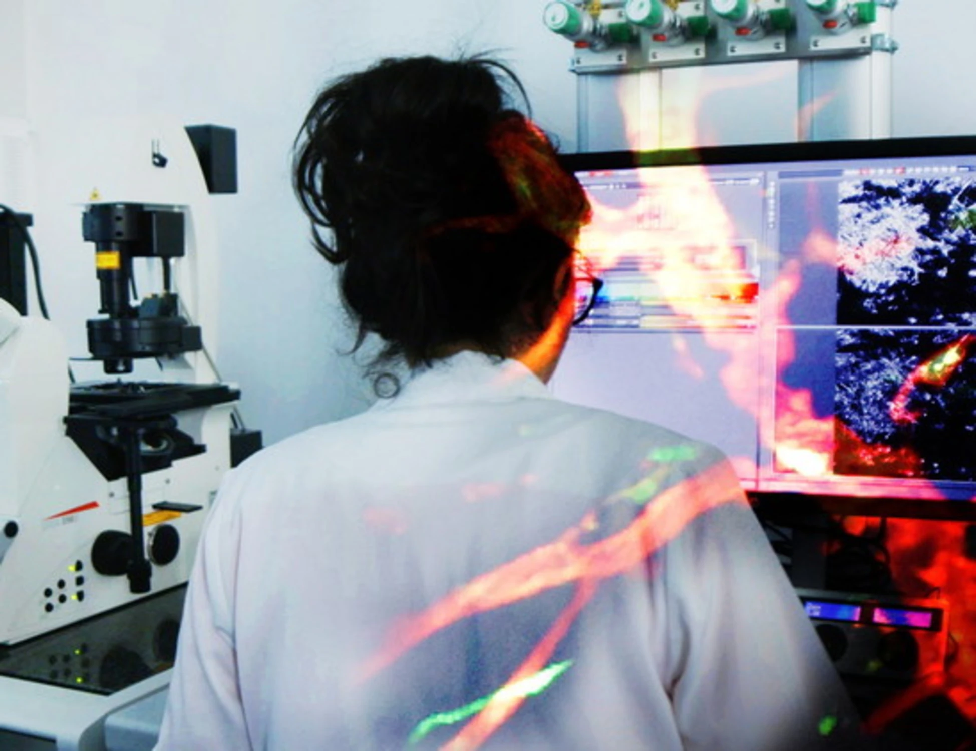 Cambielli sostiene la Ricerca Scientifica