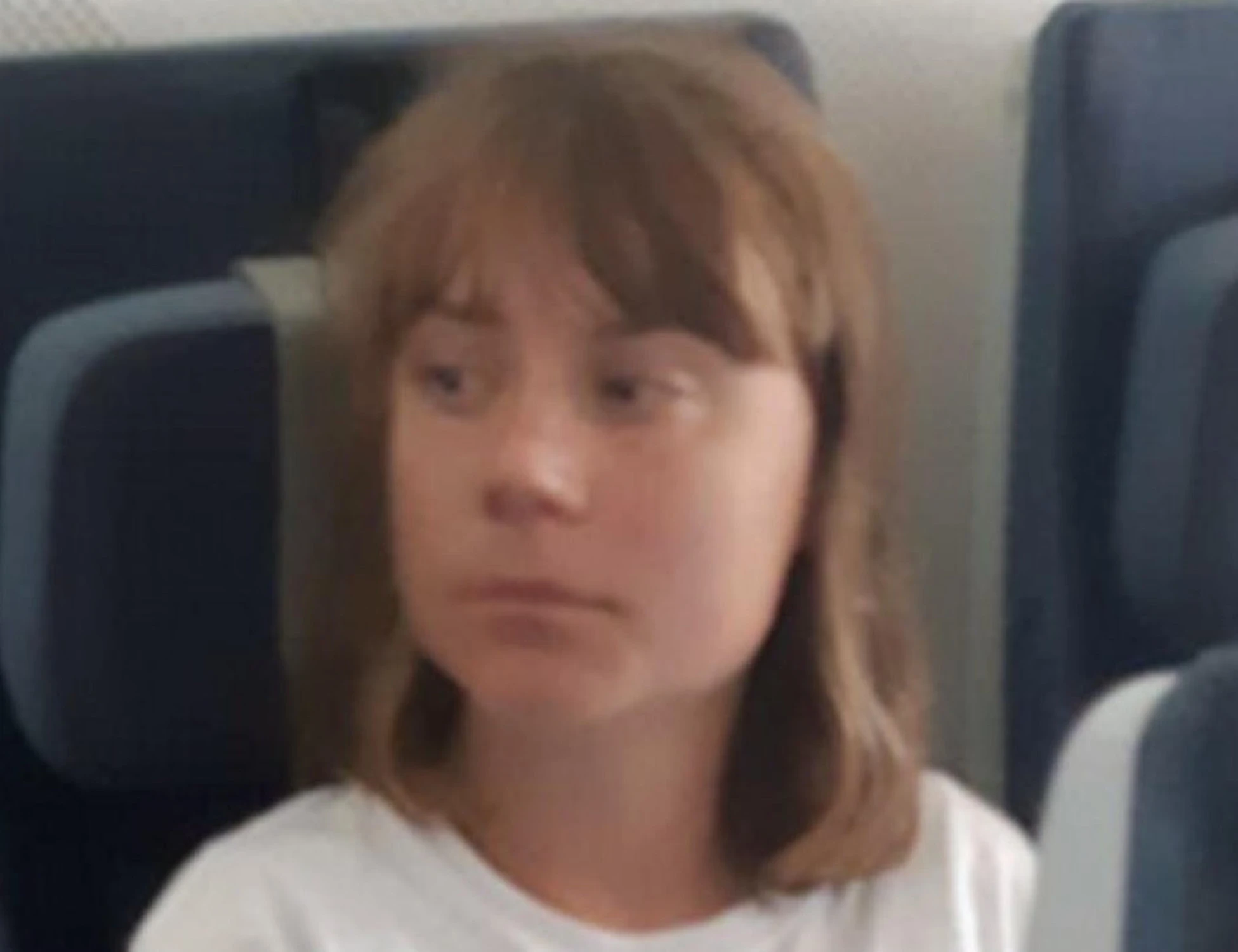 Greta Thunberg, Israele le dona pane e la verità su Hamas