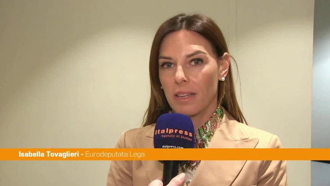 Ungheria, Tovaglieri "Tentativi di influenzare elezioni con ingerenze esterne"