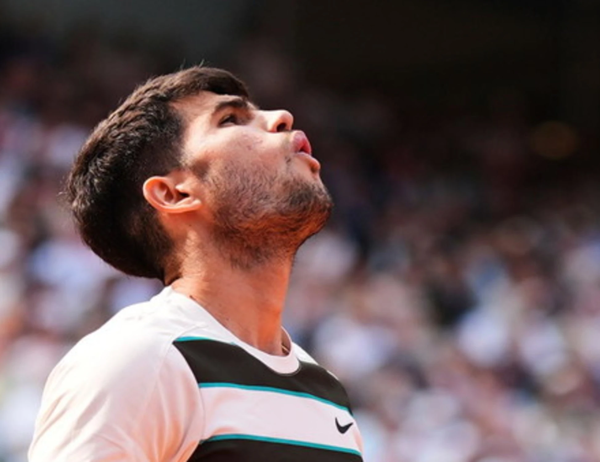 Alcaraz, "non ne sono sicuro": David Ferrer rivela, qual è la vera paura