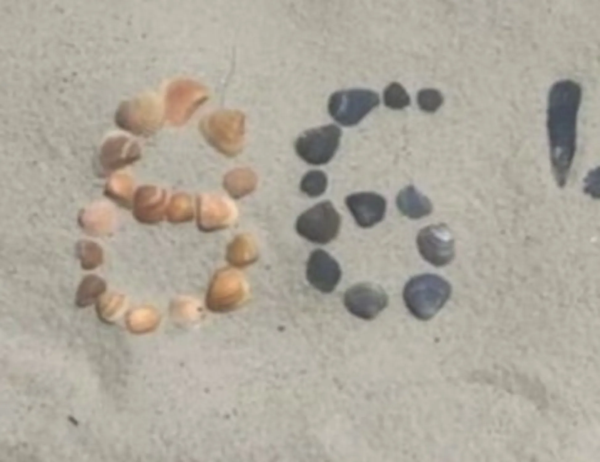 Leggi l'articolo: L'ex capo dell'Fbi si consegna alla polizia: "Ha minacciato di morte Trump con questa foto"