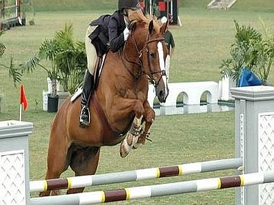 Rinnovo per addetti totalizzatore ippodromi