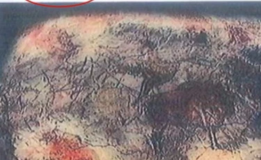 Sempio, Stasi e l'agnello sacrificale: il post inquietante dell'indagato