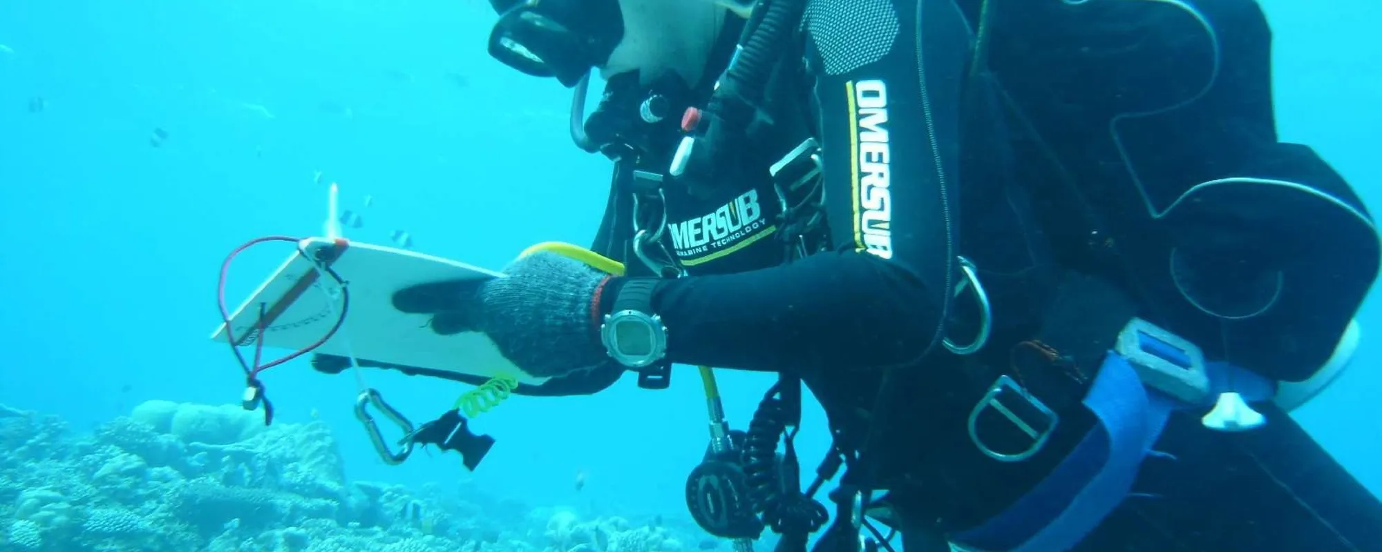 Leggi l'articolo: La "grotta maledetta": morto un sub impegnato nel recupero dei corpi degli italiani