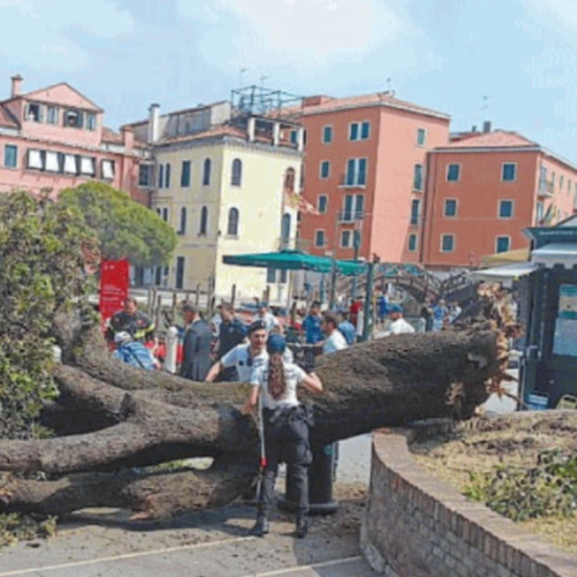 Se davanti a un disastro si pensa solo a fare un selfie&nbsp;
