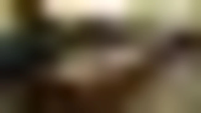 https://media.liberoquotidiano.it/7YYPBCv1drwfpkEhLTbn2Yw18v9YSPBsGXPKzOHBBlg/width:800/quality:90/aW1hZ2VzLzIwMjUvMTAvMTQvMTUxOTU3NzczLTM4YzhlNjRjLTM1YjUtNDIyMi05NzJmLWUzYjkwMjY1OWVhMS5qcGc.webp