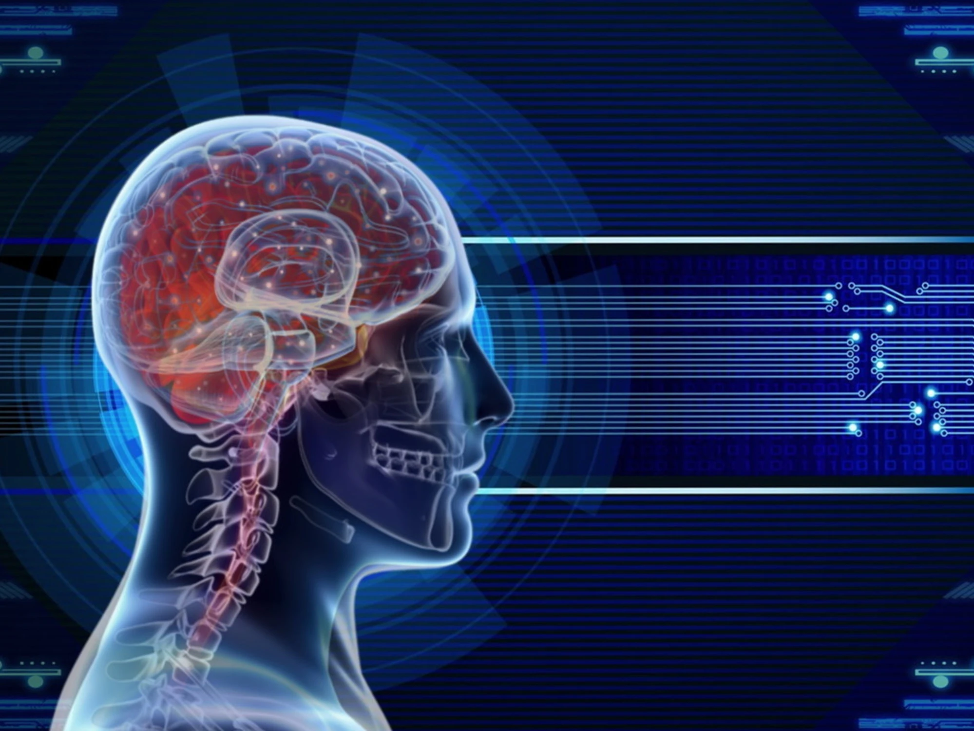  Quando dormi si spegne il cervello? No, ecco cosa accade