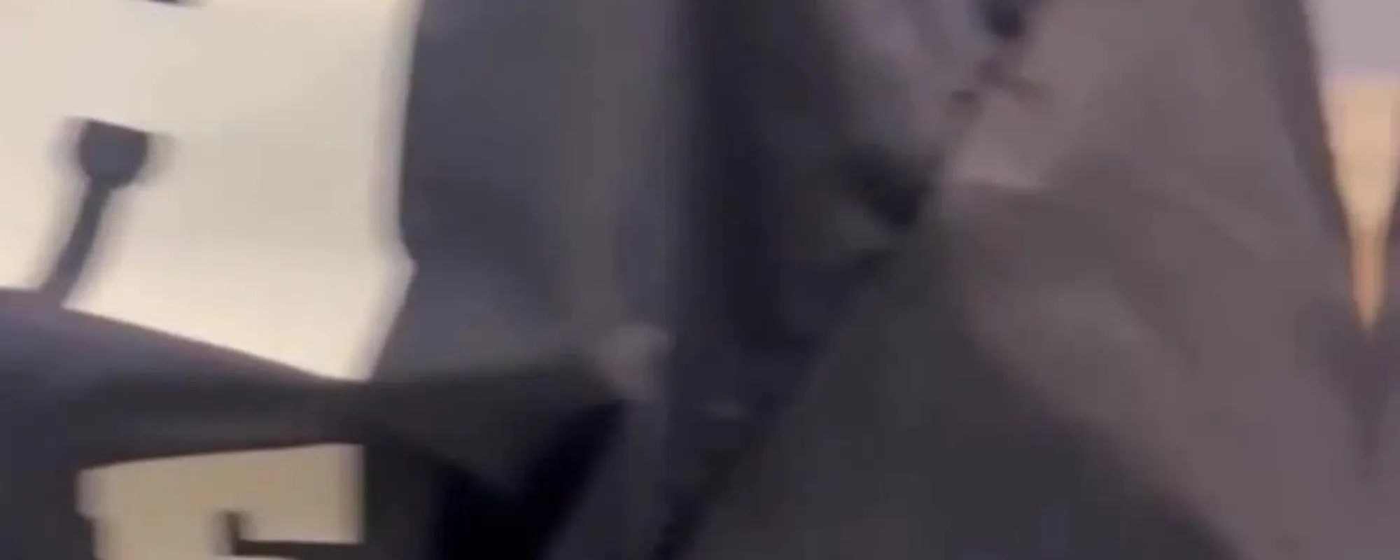 La cinese a Fiumicino, sconcerto: cosa nascondeva  nei "biscottini"