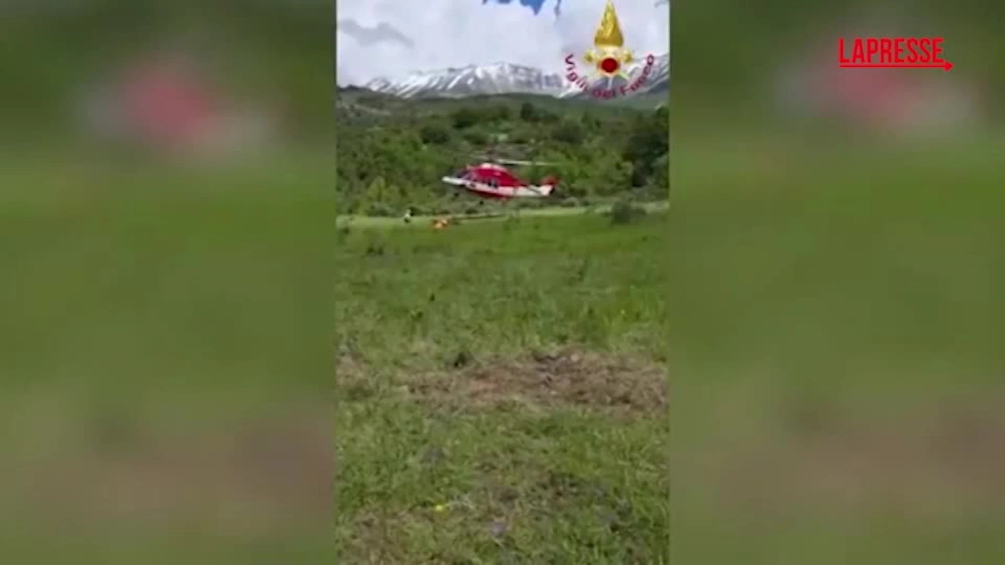Toro bloccato da una ferita, lo salvano i vigili del fuoco